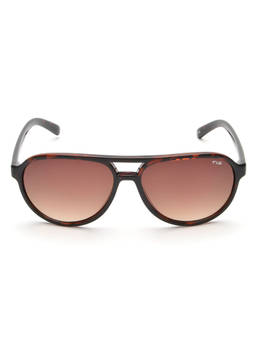 IRUS - Aviator Brown Unisex Sunglass -IRS1009 C2