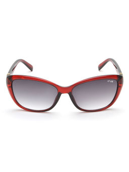 IRUS - Cat Eye Burgundy Women Sunglass -IRS1048 C2