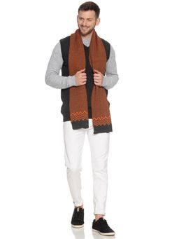 513 - Men Checks Muffler