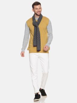 513 - Men Checks Muffler