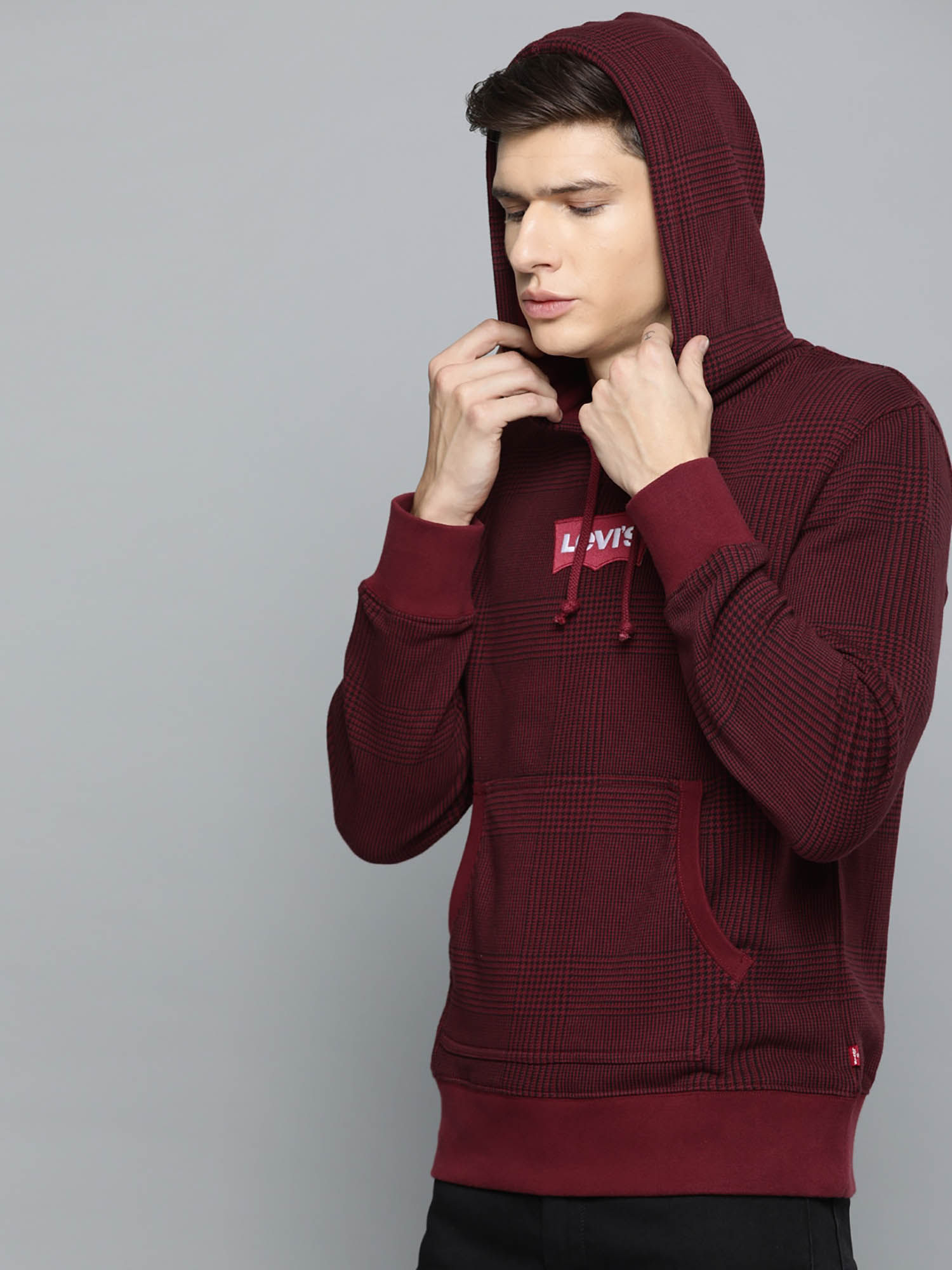 Buy Levi's Batwing Logo Hoodie Online 