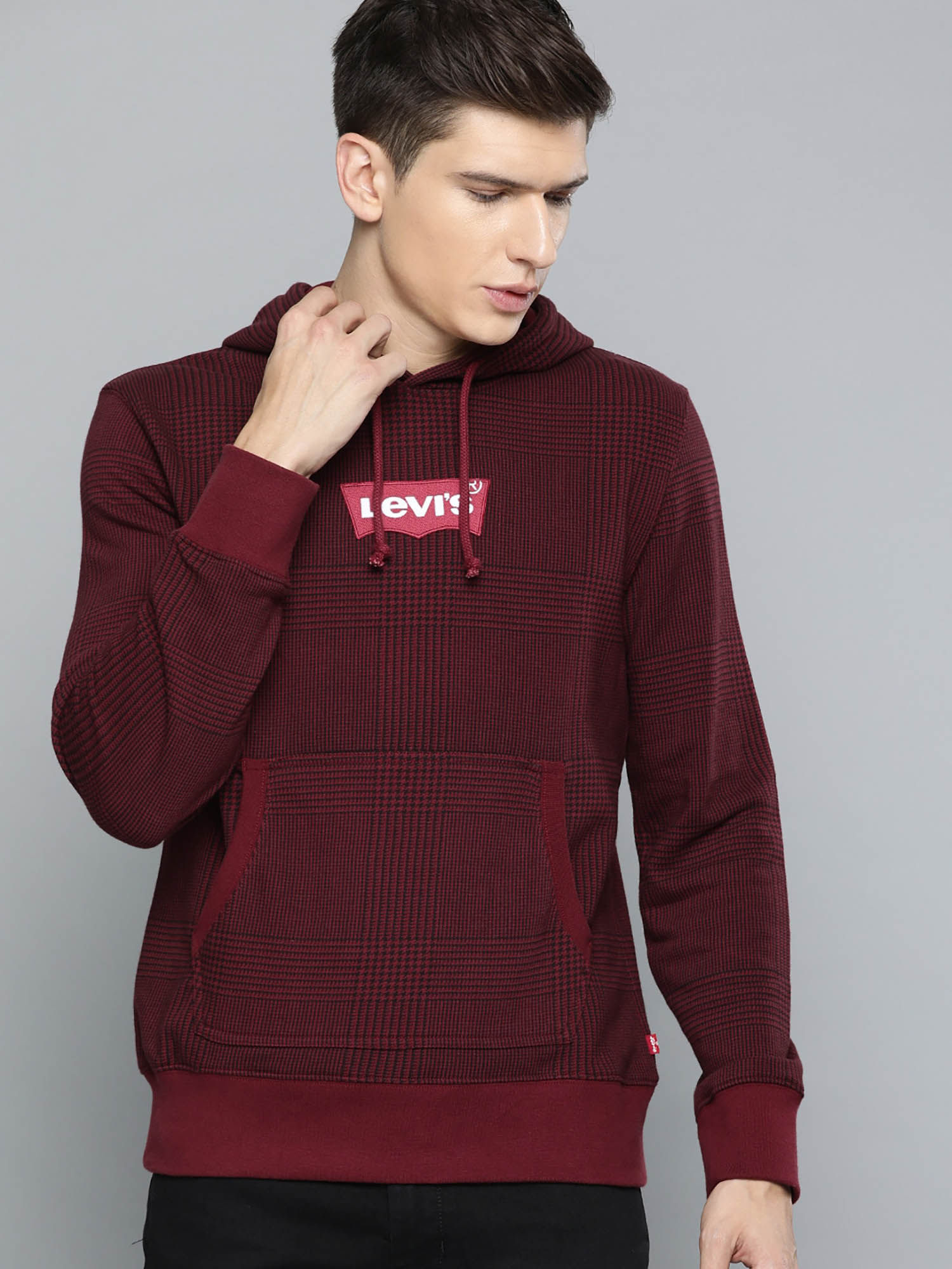 Buy Levi's Batwing Logo Hoodie Online 