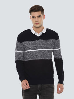 Louis Philippe - Navy Blue Colorblock Sweater