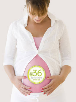 Pearhead - Multi-Color Mommy Belly Stickers (Pack of 16)