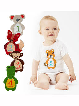 Pearhead - Multi-Color Felt First Year Belly Stick (Pack of 12)