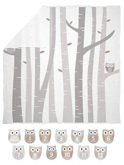 Pearhead - Multi-Color Watch Me Grow Photo Owl Blanket