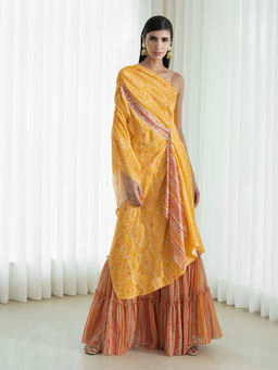 MANDIRA WIRK - Multi-Colour Kurta (Set of 2)