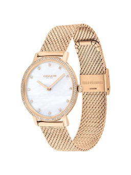 Coach - Audrey Gold Toned Stainless Steel Ladies Watch - CO14503360W