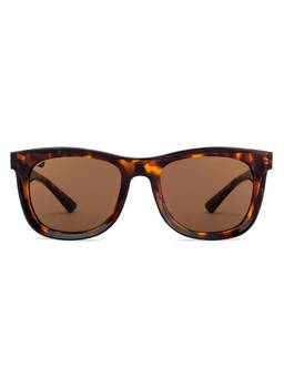 Vincent Chase - by Lenskart Brown ABS Composite Sunglasses