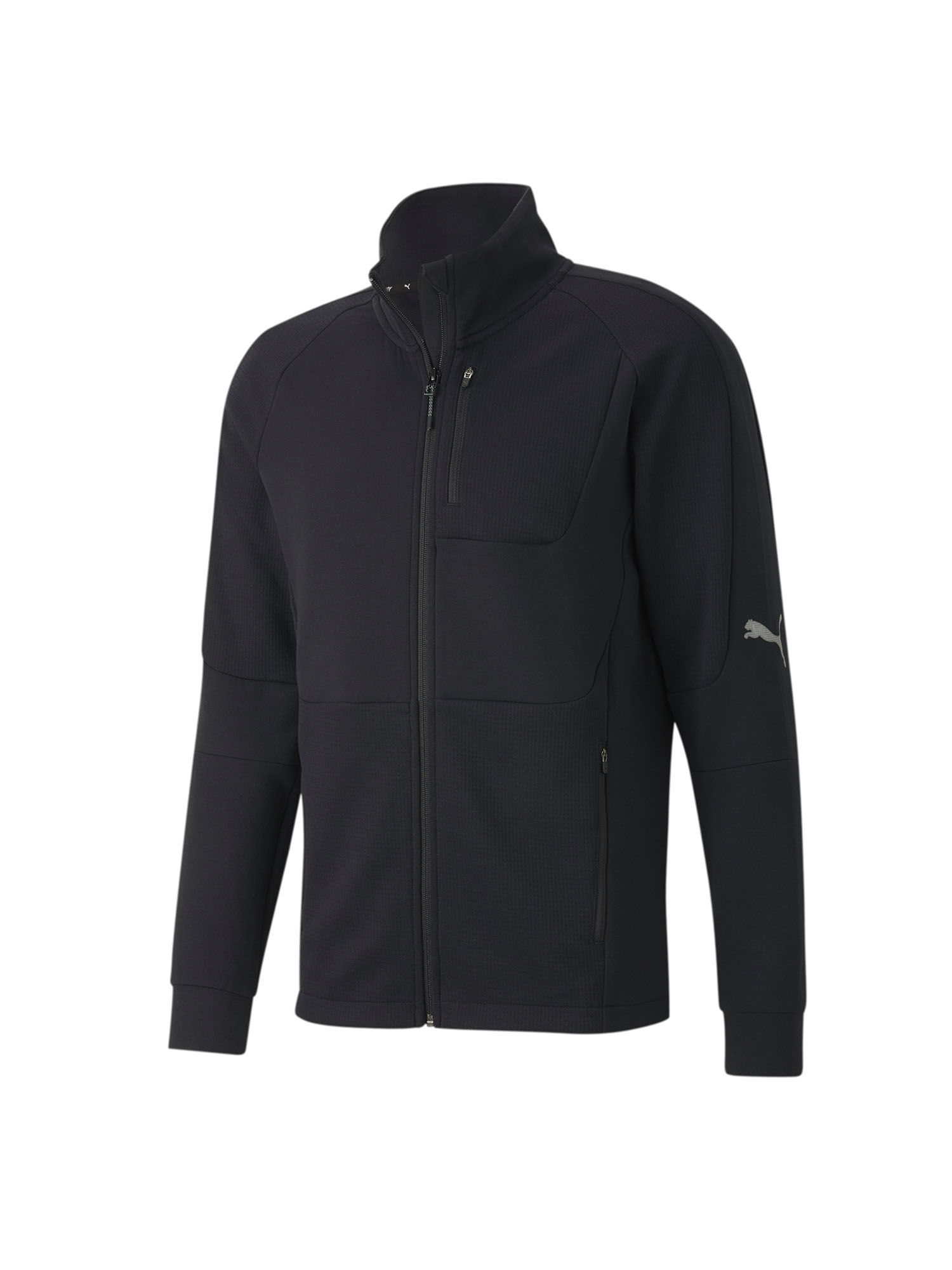 Buy PUMA Evostripe dryCELL Slim Fit Men's Black Track Jacket Online