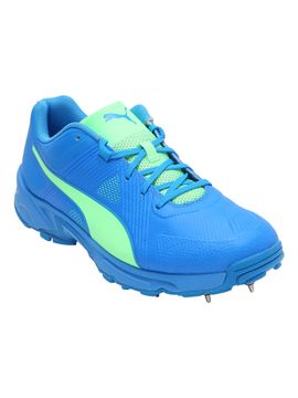 PUMA Men PUMA Spike 19.1 Cricket Shoe 