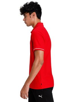 polo puma