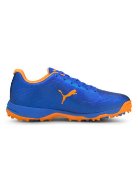 Puma Cricket Shoes : Buy PUMA Spike 19 