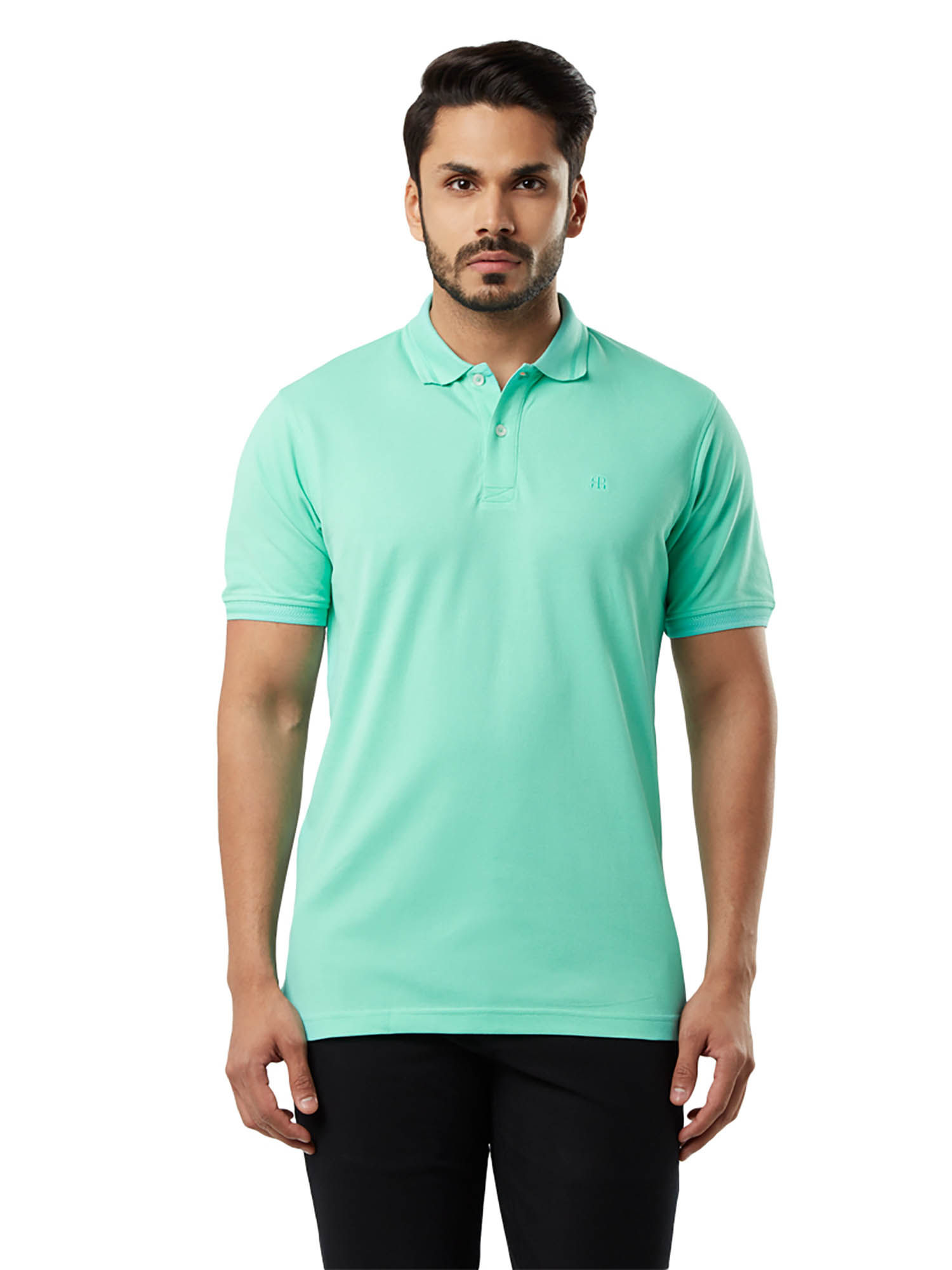 Buy Raymond Green Solid Polo T-Shirt 