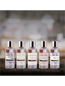 Rosemoore - Aroma Diffuser Oil Eucalyptus & Kaffir Lime Driftwood Lavender Blue Blue Oud Crystal Rose