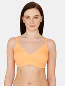 Orange color option, Currently selected