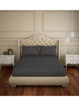 SPACES - Skyrise King Bedsheet With 2 Pillow Covers 210 Tc