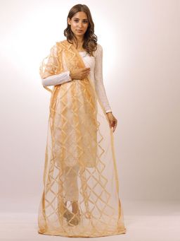 SWI STYLISH - Swi Stylish Nylon Net Dupatta with Aari work