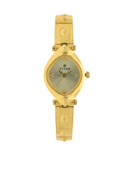 Titan - Gold Dial Analog Watch -NM2417YM02
