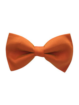 The Tie Hub - Orange Silk Pre Tie Bow Tie