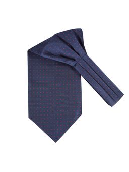 The Tie Hub - Navy With Red Mini Dots Cravat For Men