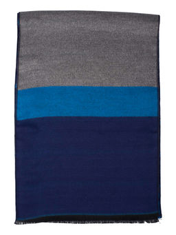 The Tie Hub - Blue Self Design Scarf
