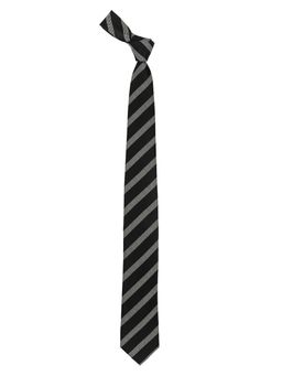 The Tie Hub - District Black And Grey Stripe Microfiber Necktie