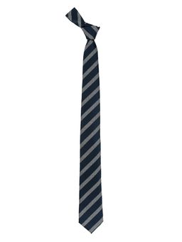The Tie Hub - District Blue And Grey Stripe Microfiber Necktie
