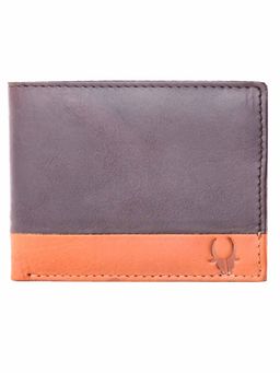 WILDHORN - RFID Protected Genuine High Quality Leather Brown Wallet for Men