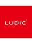 Ludic