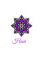 HESVI