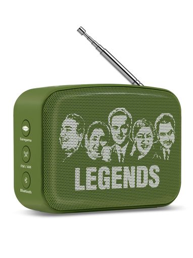 Buy Saregama Carvaan Mini MS 