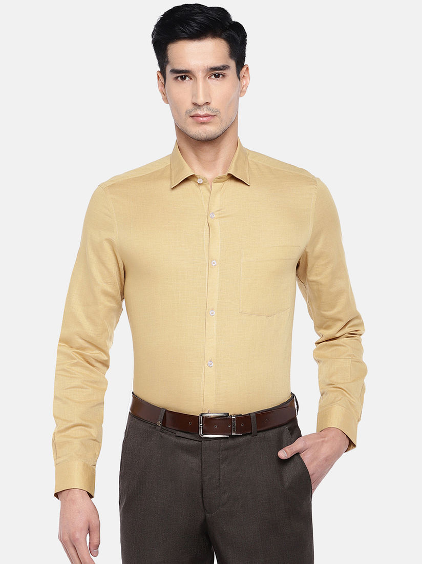 Turtle formal shirts Clearance